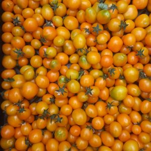 Tomates cerises (500gr)