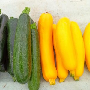 Courgettes (500gr)