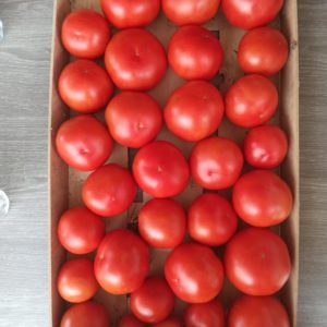 Tomates rondes (500gr)