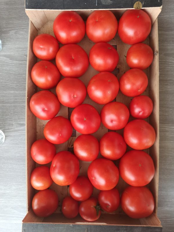 Tomates rondes (500gr)