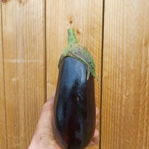 1 Aubergine noir allongée