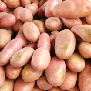 Pommes de terre rouges 500gr