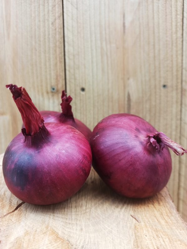 Oignons rouges (500gr)