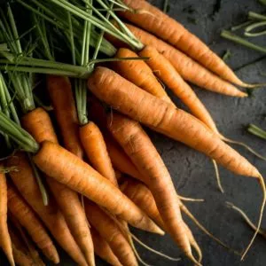 Carottes nouvelles botte