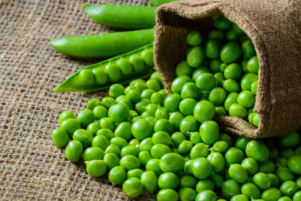 Petits-Pois (500gr)