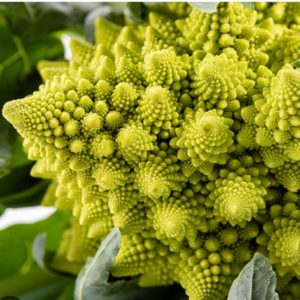 1 chou romanesco