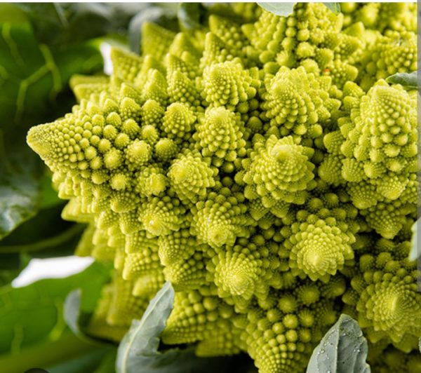 1 chou romanesco